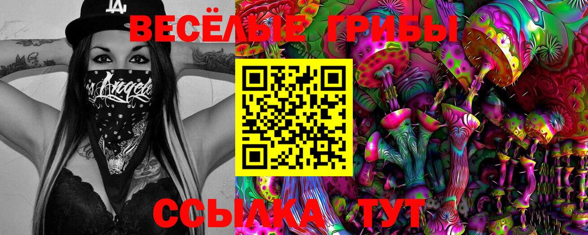 Галлюциногенные грибы Magic Shrooms  Вход с VPN  цены наркотик  Ялта  Псилоцибиновые грибы GOLDEN TEACHER 